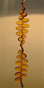 Beautiful Interior Design Room Divider