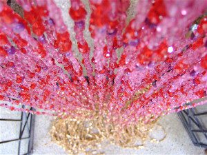 Purple Pink Glass Beads Curtain